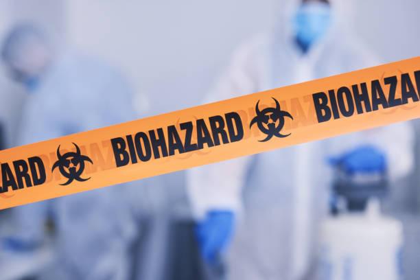 Professional Odor Removal technician working in New Gloucester, ME
